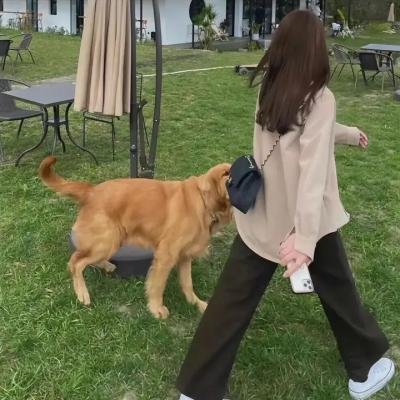 心之帘